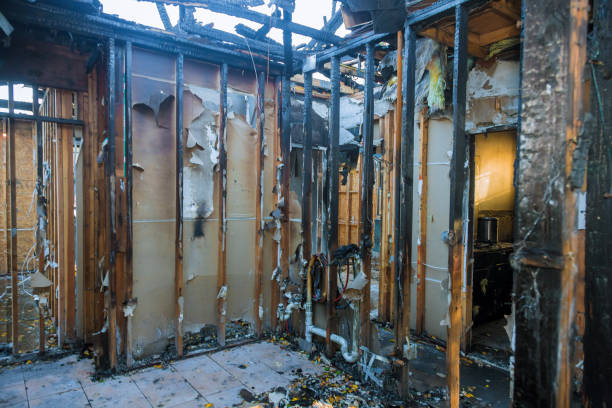 Professional Fire Damage Removal technician working in Pasadena Hills, MO
